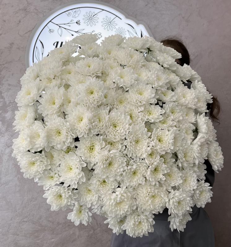 Хризантемы кустовые белые